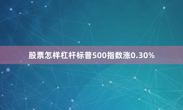 股票怎样杠杆标普500指数涨0.30%